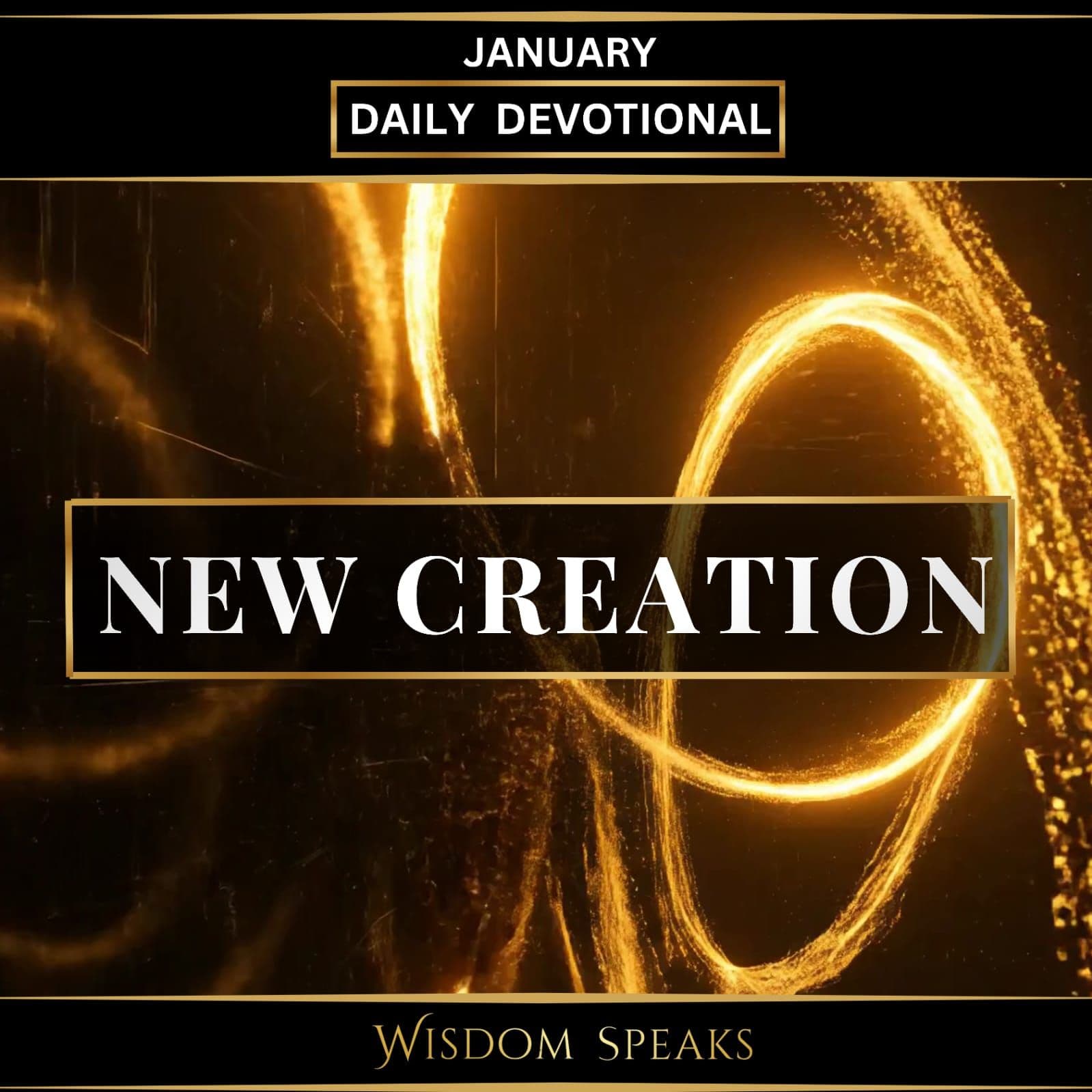 The New Creation Life